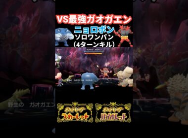 「ポケモンSV」最強ガオガエンをニョロボンを使って4ターンでソロでワンパンしてみた　 ＃ポケモンSV ＃最強ガオガエン　＃ニョロボン