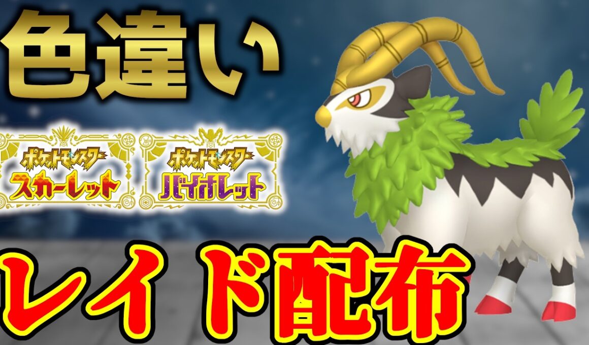 【金のツノ】 色ゴーゴート配布 shiny raid 【ポケモンSV】#参加型配信
