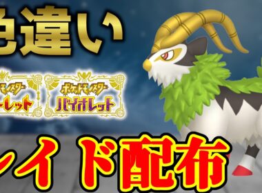 【金のツノ】 色ゴーゴート配布 shiny raid 【ポケモンSV】#参加型配信