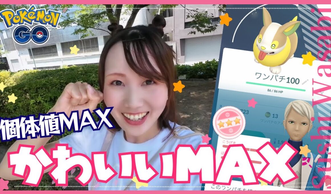 ワンパチちゃんいらっしゃい！かわいいが100点で個体値も・・・？！！