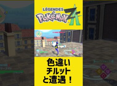 色違いチルットと遭遇＆捕獲！｜ポケモンZA #shorts