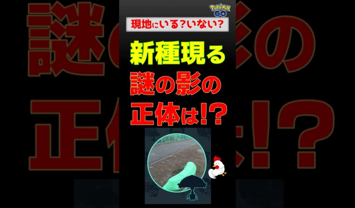 【新種！謎の黒い影を追って、急げ】 #ポケモンgo #pokemongo #ポケモン #マシェード