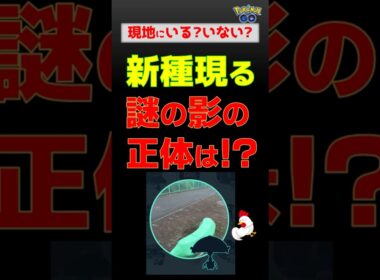 【新種！謎の黒い影を追って、急げ】 #ポケモンgo #pokemongo #ポケモン #マシェード
