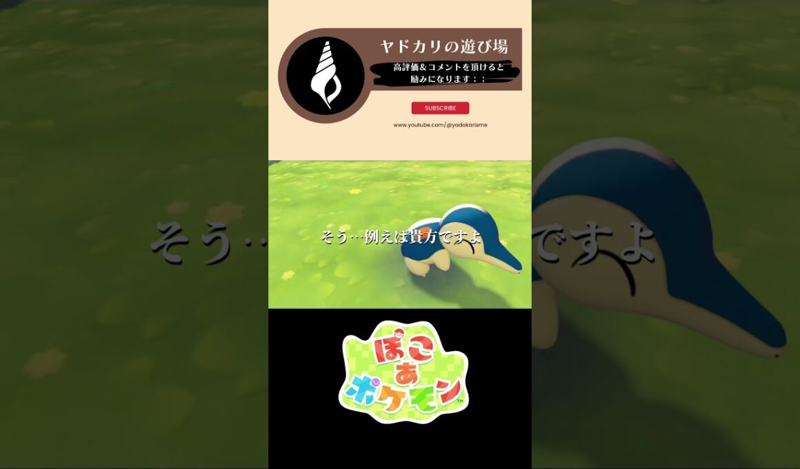 【ぽこぽけ×55クリエイト】ヒノアラシくんの焚火キャンプ #ぽこあポケモン #ぽこポケ #55クリエイト