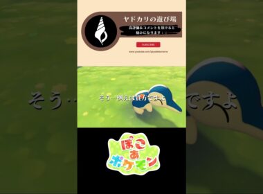 【ぽこぽけ×55クリエイト】ヒノアラシくんの焚火キャンプ #ぽこあポケモン #ぽこポケ #55クリエイト