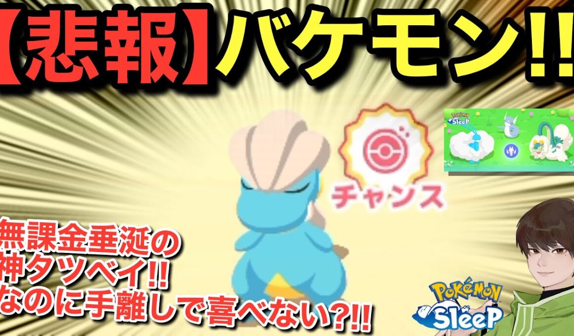 神タツベイでガチ困惑！？ポケスリの難しいとこ出過ぎてる！！！【ポケモンスリープ】【ポケモンピックアップウィーク（ドラゴン）vol.1】無課金リサーチ1040/1025日目