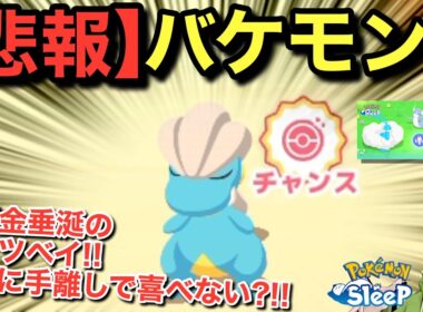 神タツベイでガチ困惑！？ポケスリの難しいとこ出過ぎてる！！！【ポケモンスリープ】【ポケモンピックアップウィーク（ドラゴン）vol.1】無課金リサーチ1040/1025日目