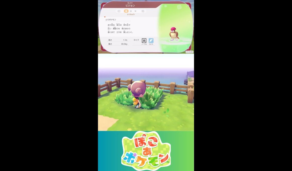 【ぽこあポケモン】ピジョン