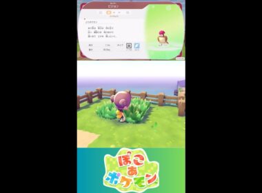 【ぽこあポケモン】ピジョン