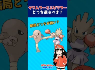 エビワラーとサワムラー、正直どっち使ってた？
