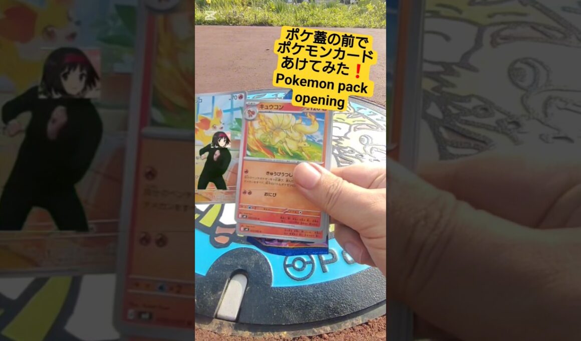 【ポケカ】ポケ蓋イシツブテ&イワンコ&ウールーの前でポケモンカードニンジャスピナー開封してメガゲッコウガ狙う Pokemon pack opening #shorts