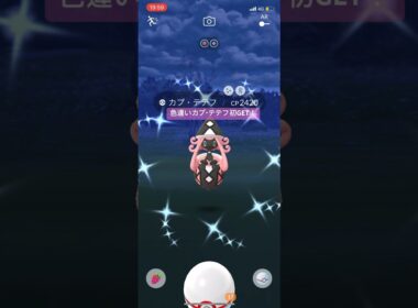 ポケモンGO色違いカプ・テテフ初GET！！#ポケモン