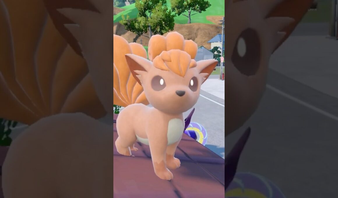 【ポケモンSV】ロコンに癒される動画 #shorts #ポケモン #ポケモンsv