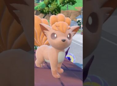 【ポケモンSV】ロコンに癒される動画 #shorts #ポケモン #ポケモンsv