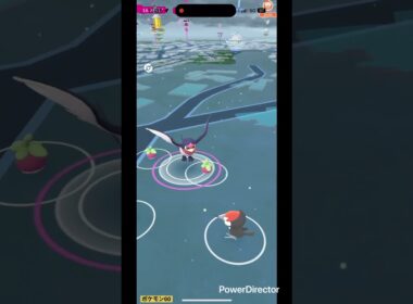 スバメ小さい #pokemongo #pokemon #ポケgo #ポケモン #pokémon #ポケモンgo