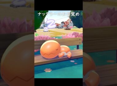【ぽこポケ】寝起きであくびするナックラーが可愛すぎた