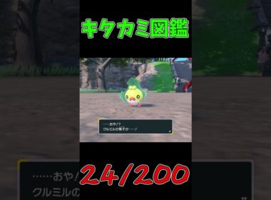 色違いパルデア図鑑制作✨#41【クルミル】【クルマユ】【ハハコモリ】　#ポケモンsv #pokemonscarletandviolet  #shorts #shiny #shinypokemon