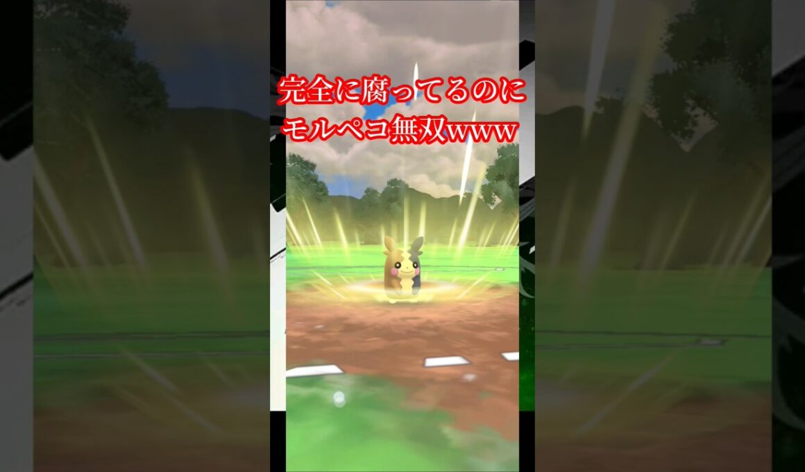 モルペコが最強すぎるwww