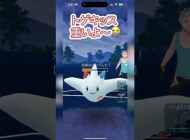 #ポケモンgo トゲキッスが重すぎるよ〜 ランドロス オリジンディアルガ ゼルネアス vs トゲキッス メタング ガブリアス #shorts #マスターリーグ #pokemon #goバトルリーグ