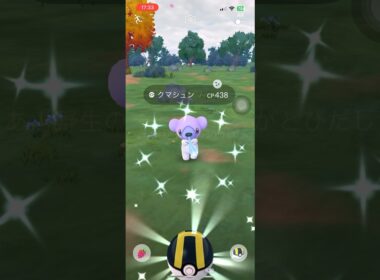 クマシュン エクセレントスロー #shorts #pokemongo #ポケモンgo