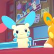 【ぽこあポケモン】パモとプラスルとマイナンのお部屋つくるぞ！
