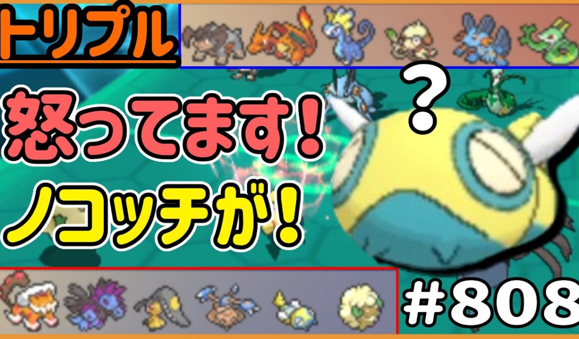 あー！怒ってます！ノコッチが！能力超上げノコッチ！【トリプルバトル　#808】