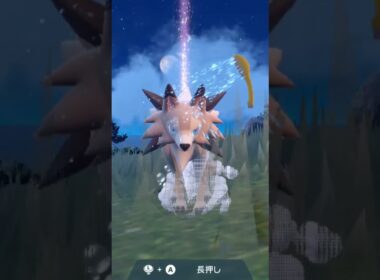 ルガルガン 真昼の姿【ポケモンsv】
