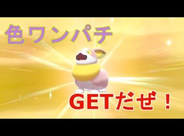 【ポケモンソードシールド】孵化1BOX以内に色違いワンパチ