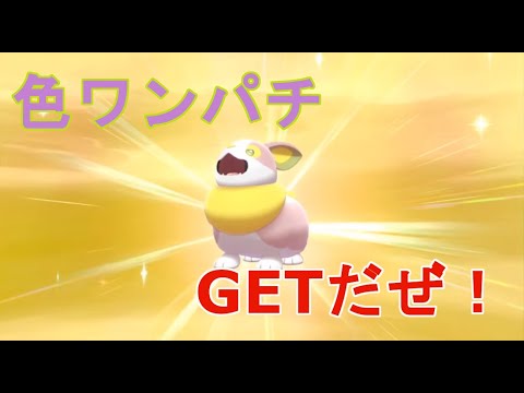 【ポケモンソードシールド】孵化1BOX以内に色違いワンパチ