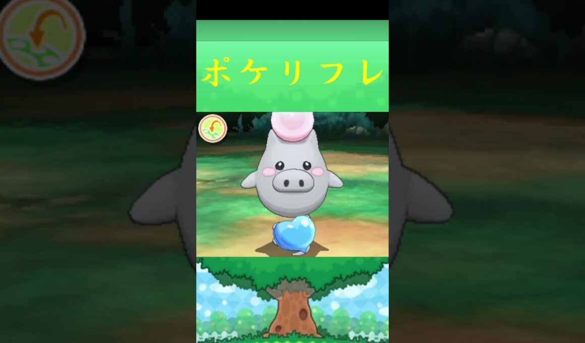 バネブー*ポケモン ポケリフレ ポケパルレ #ポケモン #Pokemon  #3DS #nintendoswitch #ポケモンsv #ポケモン #キャンプ #サンドイッチ #ピクニック