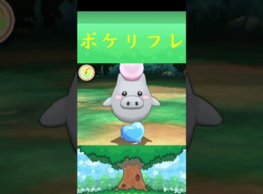 バネブー*ポケモン ポケリフレ ポケパルレ #ポケモン #Pokemon  #3DS #nintendoswitch #ポケモンsv #ポケモン #キャンプ #サンドイッチ #ピクニック