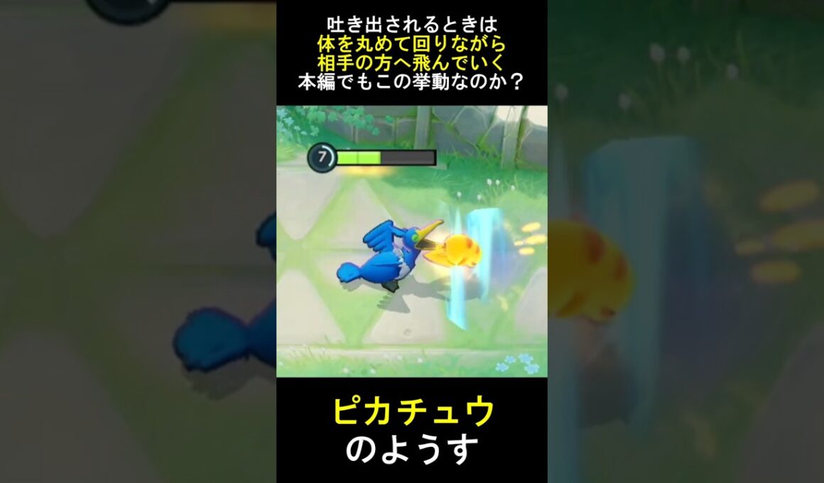 ウッウがくわえてくる獲物をみてみよう [ポケモンユナイト]