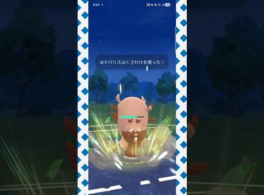 #マッドショット強化により環境復帰したヨクバリス！