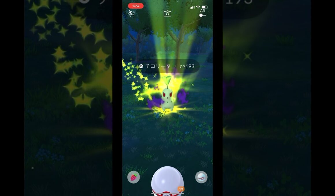 ポケモンgo シャドウチコリータゲットチャレンジ　シャドウベイリーフ　シャドウメガニウム　#pokemongo
