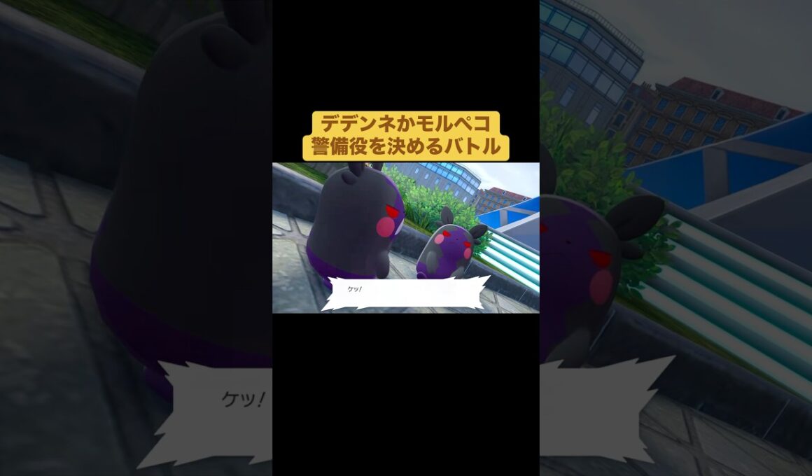 デデンネかモルペコ　警備役を決めるバトル【ポケモンZA】