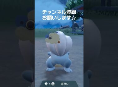 ポケモンSV タツベイを泡だらけにして洗ってあげたら！ピカピカになった
