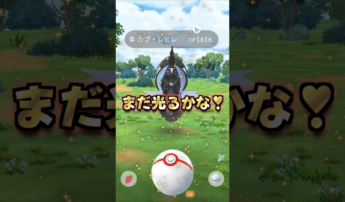 カプ・レヒレ１１戦♪まったり色違い厳選♡【ポケモンGO】