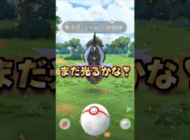 カプ・レヒレ１１戦♪まったり色違い厳選♡【ポケモンGO】