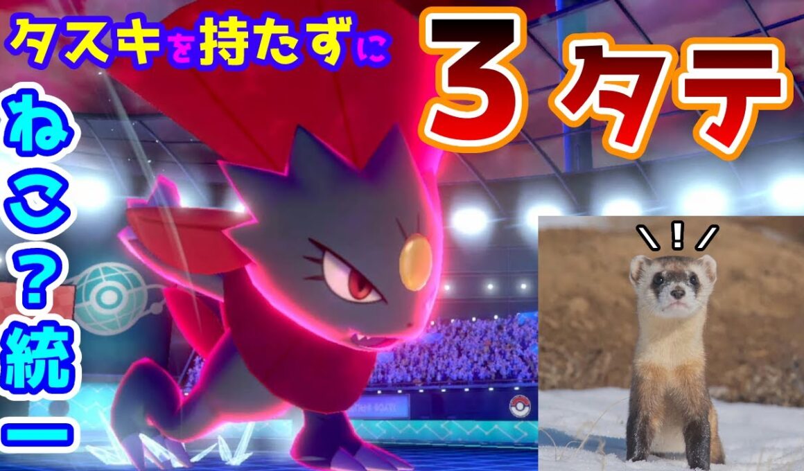 【猫ポケ統一】マニューラで厨ポケ突破！｜育成論【ポケモン剣盾】
