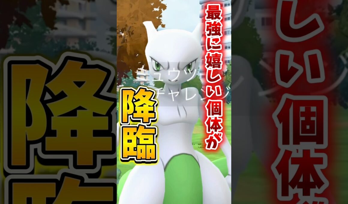 【悲報】GOFest2026のミュウツーレイドで壮大にやらかす...【ポケモンGO】#ポケモンGO #島名なまし　#GOFest2026