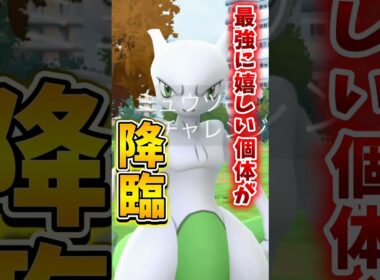 【悲報】GOFest2026のミュウツーレイドで壮大にやらかす...【ポケモンGO】#ポケモンGO #島名なまし　#GOFest2026