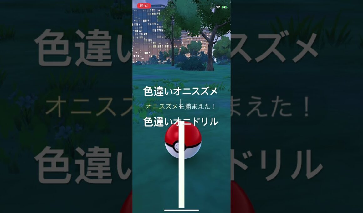 ポケモンGO 色違いオニスズメ出現！色違いオニドリルへ進化！ #ポケモンgo #ポケモン #pokémon #pokemongo