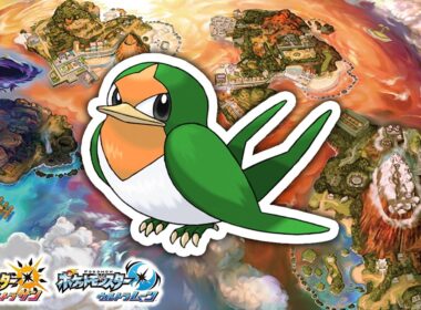 3DS映った！スバメの国際孵化やります！【ポケモンUSUM】