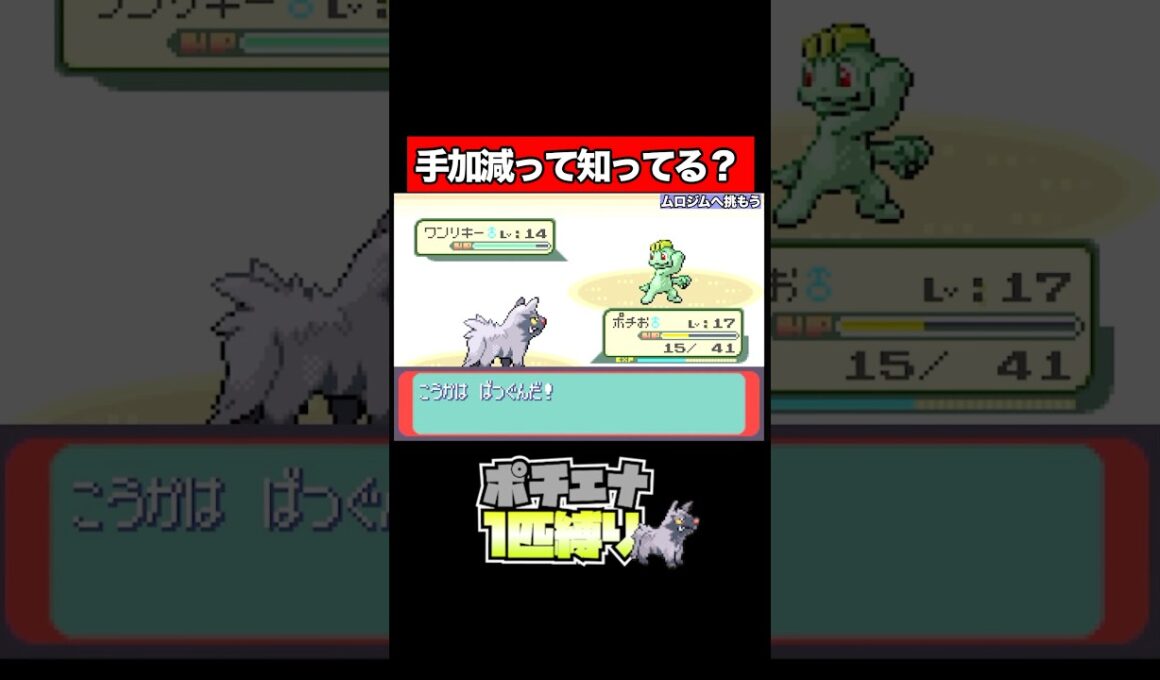 【ポチエナ縛り】少しは手加減しろー！ #ポケモン #shorts #Nintendo