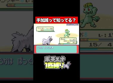 【ポチエナ縛り】少しは手加減しろー！ #ポケモン #shorts #Nintendo