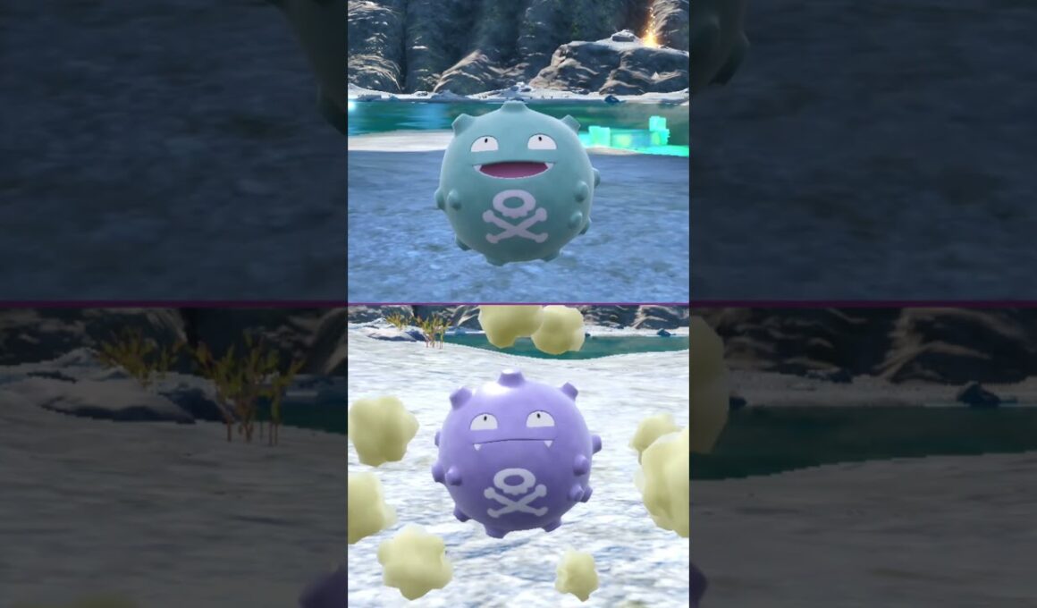 #ドガース  #ポケモン  #koffing  #pokemonscarletandviolet