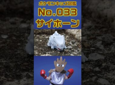 ポケモン実体図鑑No 033サイホーン #ポケモンキッズ#サイホーン