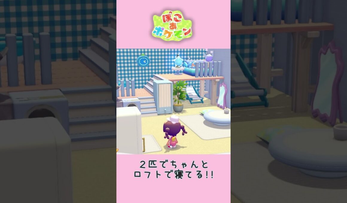 【ぽこあポケモン】ゼニガメの寝床を確認🐢