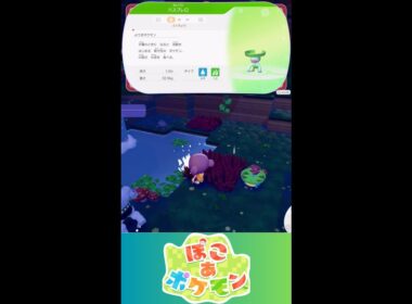 【ぽこあポケモン】ハスブレロ