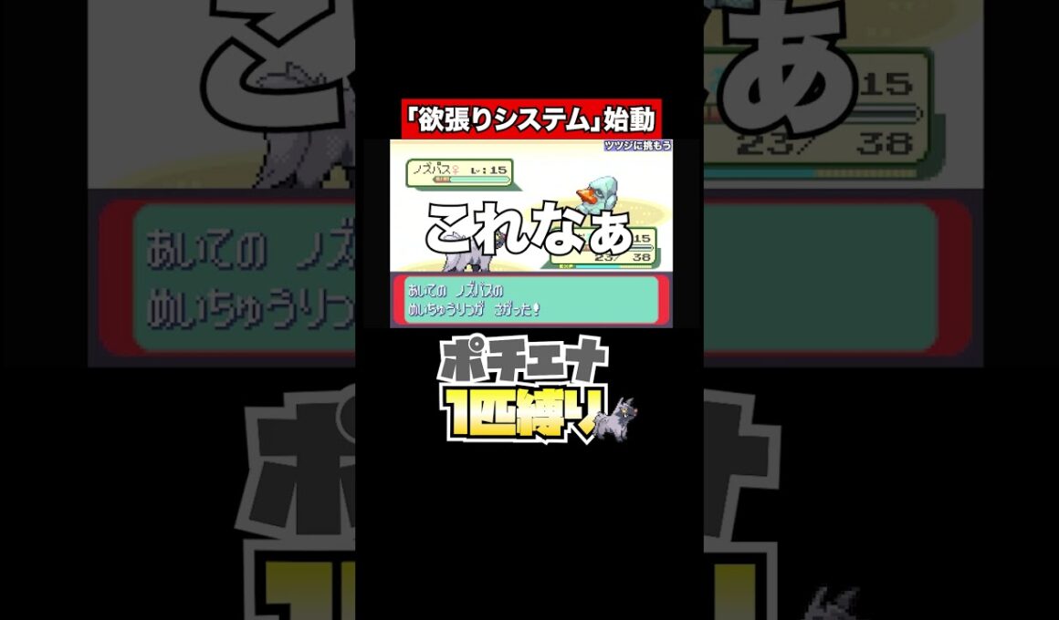【ポチエナ縛り】どんなシステムだよそれ #ポケモン #ゲーム #Nintendo
